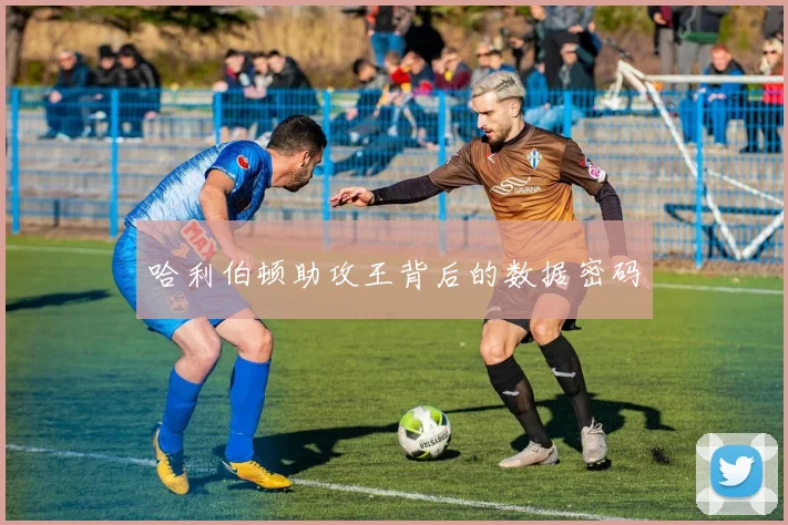 哈利伯顿助攻王背后的数据密码