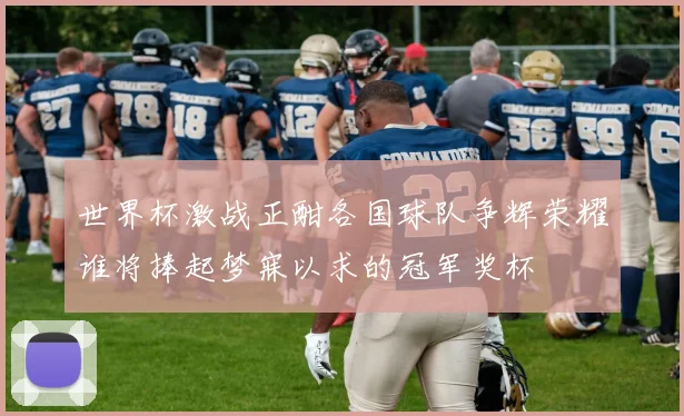 世界杯激战正酣各国球队争辉荣耀谁将捧起梦寐以求的冠军奖杯