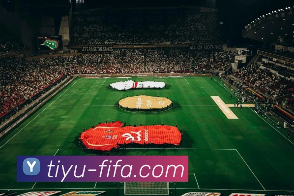 世界杯FIFA发展历程